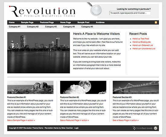 revolution-theme-demo.jpg