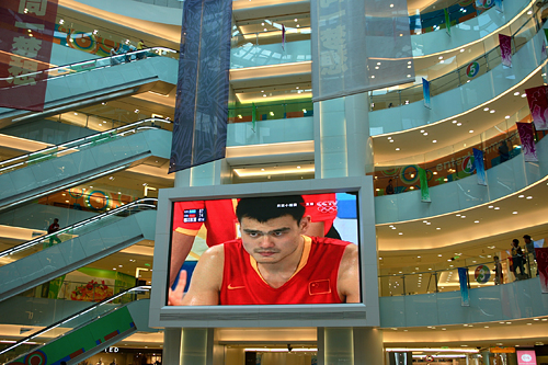 11-zhao-qing
