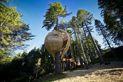 yellow_treehouse_03