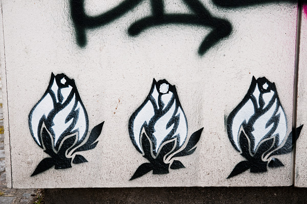 graffiti-einsteinhaus-12