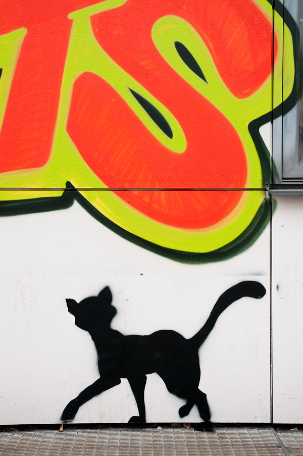 graffiti-einsteinhaus-14