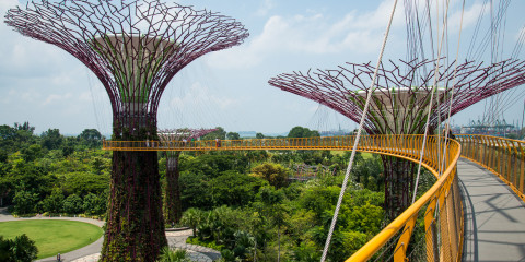 gardens-by-the-bay-04