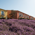 Donnafugata-Golf-Resort-SPA-Anlage-01